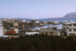 Útsýni yvir Havnina við Nólsoynni í baksýni