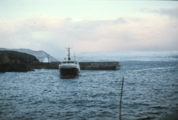 Ritan í Skopunar havn