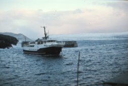 Ritan í Skopunar havn